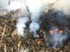 Несколько крупных свалок со страшными останками животных сожгли в Новочеркасске