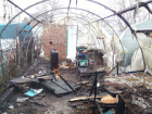 В Новочеркасске сгорела одна из крупнейших в России теплиц с кактусами 