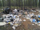 Власти Новочеркасска ищут подрядчика на вывоз дополнительного мусора