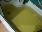 Жители Новочеркасска бьют тревогу: из кранов продолжает литься желто-зеленая вода с запахом тины