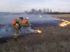 Более 300 ландшафтных пожаров произошло в Новочеркасске с начала года