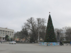В Новочеркасске обновят ветхую новогоднюю елку за полмиллиона рублей