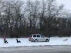 Покатал детей на санках, привязанных к машине неизвестный на трассе под Новочеркасском