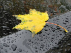 Рабочая неделя в Новочеркасске начнется с дождей