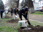 Около 4 000 растений высадили новочеркасцы на городских улицах