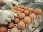 23 десятка яиц без документов нашли в детском саду Новочеркасска
