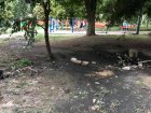 "Бактериологическая бомба" испортила состояние детской площадки в новочеркасском сквере Чапаева