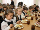 В  Новочеркасске увеличат нормативы бесплатного горячего питания в школах 