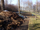 Жители Новочеркасска обнаружили свалку в новом парке на Мацоты