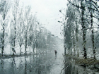 Рабочая неделя начнется с дождя в Новочеркасске