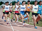 Новочеркасские спортсмены завоевали четыре медали на чемпионате ЮФО по легкой атлетике