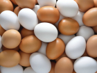 В детском саду под Новочеркасском обнаружили сомнительные яйца