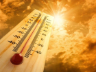 Аномальная жара в Новочеркасске продлится до конца недели