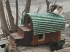 «Кошкин дом» похитили! В Новочеркасске кто-то позарился на домик для кошек