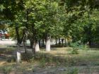 Чтобы посчитать деревья микрорайона Октябрьский Новочеркасску нужно почти пол миллиона