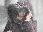 В Новочеркасске на выходных ожидается дождь со снегом