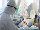 Коронавирус подтвердился еще у 9 дончан: новочеркасцев среди них нет
