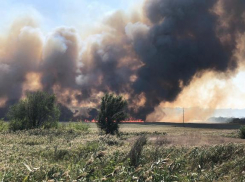 В Новочеркасске площадь ландшафтного пожара увеличилась в несколько раз