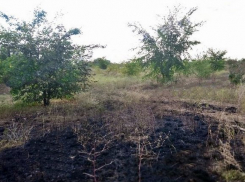 В Новочеркасске горел индустриальный парк