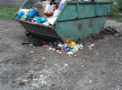 После публикации «Блокнота Новочеркасск» с улицы Украинской вывезли мусор