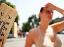 Жаркие дни пообещали синоптики новочеркасцам