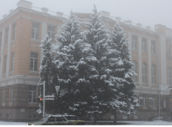 Новочеркассцам предлагают культурную программу к Рождеству