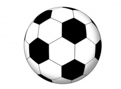 Под Новочеркасском соберут гигантский футбольный мяч из автомобилей