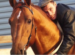 Как на Дону убивали лучший в стране конезавод и резали на колбасу элитные породы коней