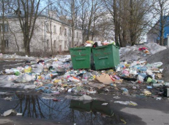 Мусор в Новочеркасске начнут вывозить с потеплением