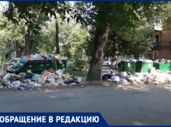 «Город поглотил мусорный хаос», - новочеркасцы