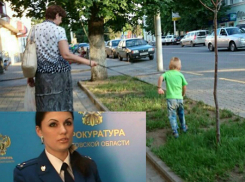 Историей с выгулом ребенка на поводке в Новочеркасске заинтересовалась прокуратура и Уполномоченный по правам ребенка