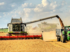 В Октябрьском сельском районе уже собрано 65,3 % от планового объема зерна
