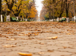 В ближайший уик-энд в Новочеркасске заметно повысится атмосферное давление