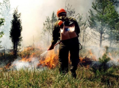 Новочеркасцев просят не разводить костры и не поджигать сухую траву