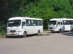 60 новочеркасских школьников смогут бесплатно ездить на общественном транспорте