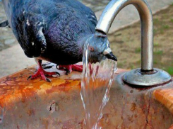 В Новочеркасске снова будет жарко