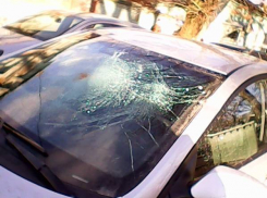 В Новочеркасске на движущийся автомобиль упала большая ветка