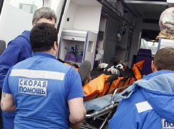 Два человека пострадали в ДТП из-за шмеля под Новочеркасском
