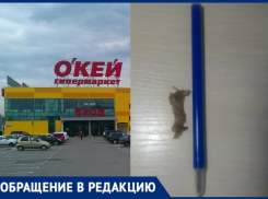 «Съешь салатик - повредишь зубы», - жительница Новочеркасска