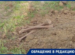 «От увиденного мурашки по коже», - новочеркасцы