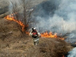 В Новочеркасске увеличилось количество ланшафтных пожаров