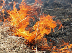 Не жечь сухую траву попросили спасатели новочеркасцев