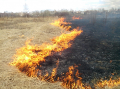 Новочеркасцев просят не выжигать сухую растительность
