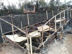 Под Новочеркасском сотни пчел сгорели во время ландшафтного пожара