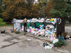 Какая честь: Новочеркасск признали одним из самых грязных городов России