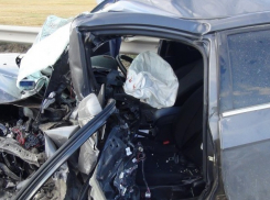 Под Новочеркасском иномарка врезалась в дерево - один человек погиб