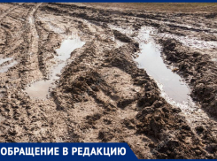 «Добро пожаловать!»: новочеркасцы пригласили чиновников прогуляться по улице Пляжной