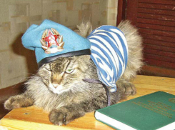 День ВДВ пройдет без света для некоторых новочеркасцев