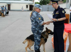 Кинолог из Новочеркасска победила в областных соревнованиях