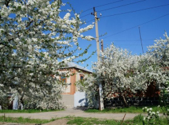 В Новочеркасске снова похолодает на выходных